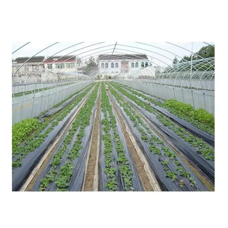 Biodegradable Mulching Film For Agriclutural Uses